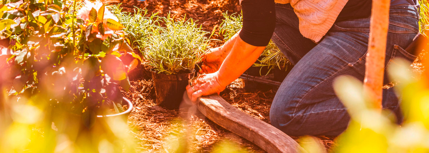 Eine Person kniet im Garten und pflanzt.