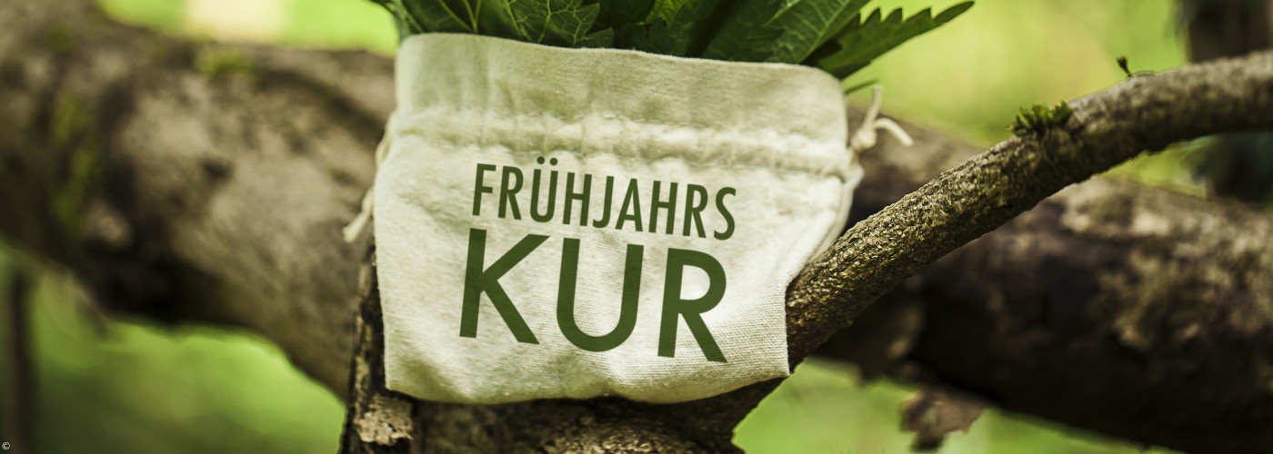 Ein Stoffbeutel mit der Aufschrift "Frühjahrskur" hängt an einem Baumzweig.