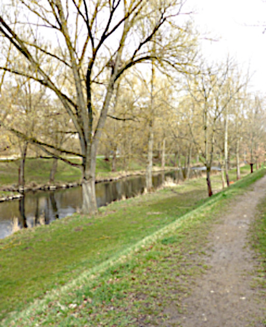 Fluss mit kahlen Bäumen am Ufer und einem unbefestigten Weg daneben